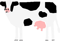 사육 젖소