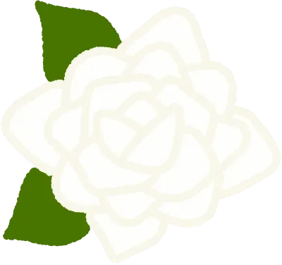 장미꽃 장미잎 풀잎