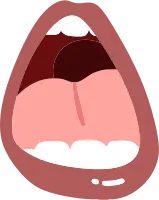 mouth