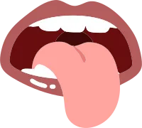 mouth