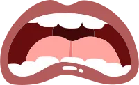 mouth