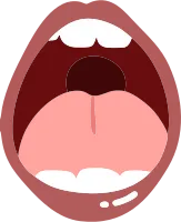 mouth