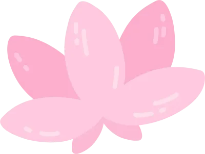 연꽃