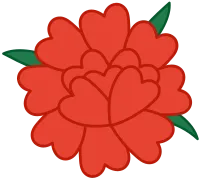 카네이션