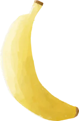 Hand Drawn Banana Fruit Illustration