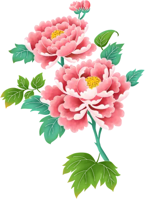 모란