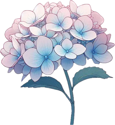 수국