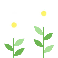데이지 꽃