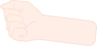 손목