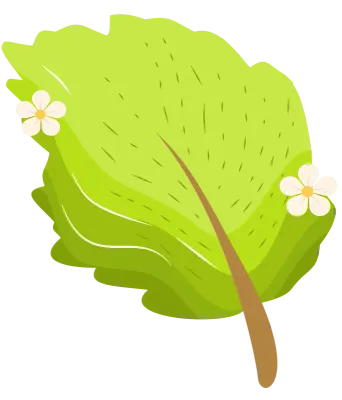 Matcha green tea