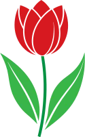 튤립
