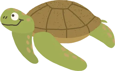 거북이