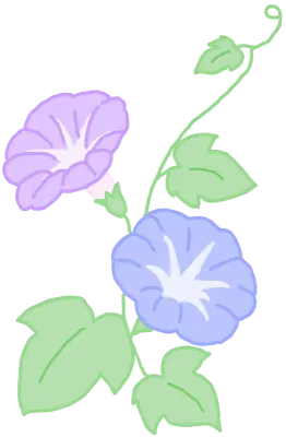 나팔꽃