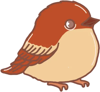 새