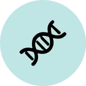 DNA 이중 나선