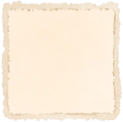 Torn paper