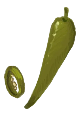 여러 이미지