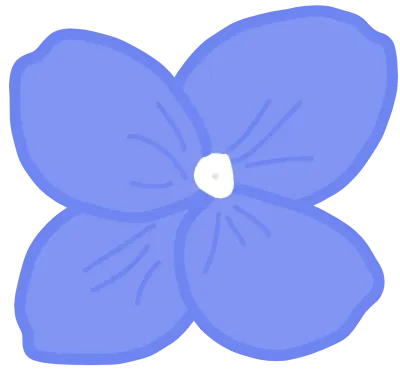 수국