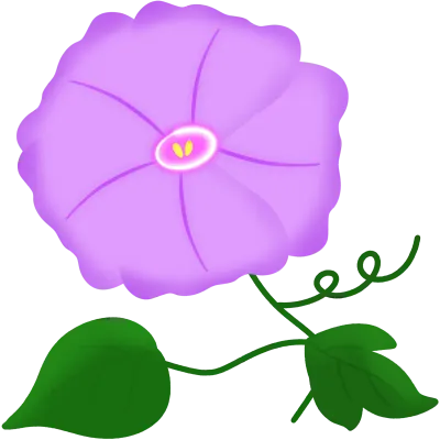나팔꽃