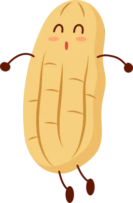 Cute Peanut Character Illustration
