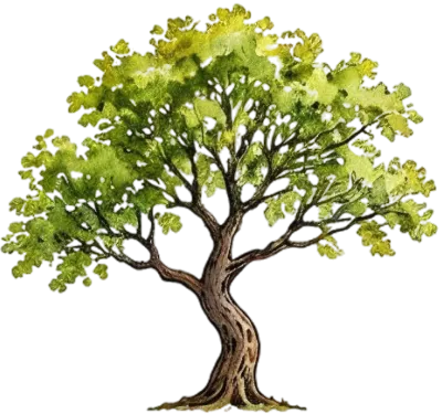07Slender-Twin-Leaf-Poplar-Tree