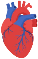 heart illustration in flat design style