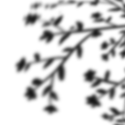 Shadow, shade