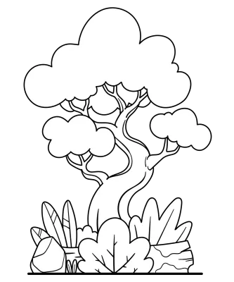 Forest Tree Coloring Page and Colored Cartoon