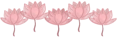 연꽃, 연꽃