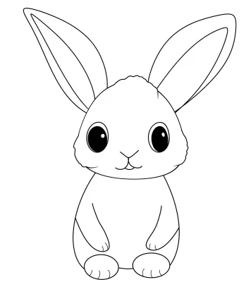 drawing outline of rabbit