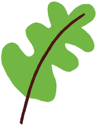 Leaf