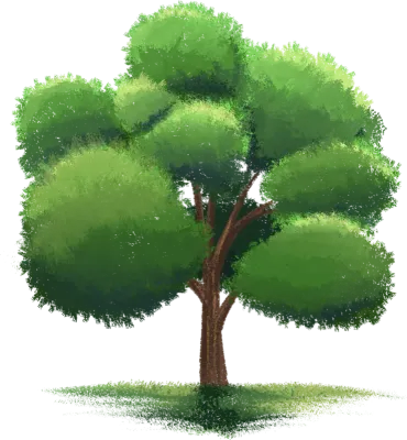 tree