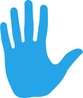 Palm hand