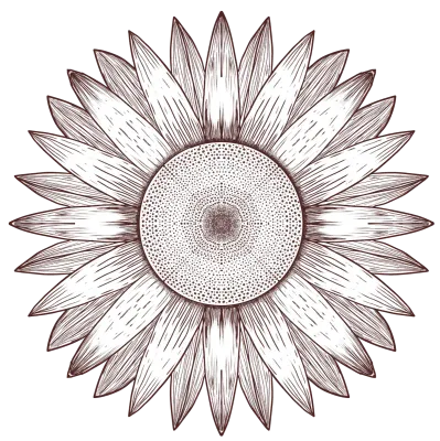 Detailed Sunflower Line Art Vector Illustration for Coloring and Vintage Design