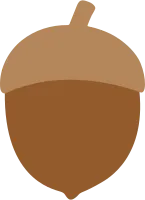 도토리
