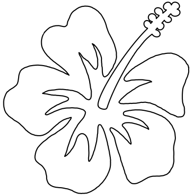 하와이안 꽃