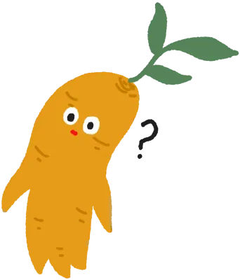 이것은 인삼인가? 수삼인가?