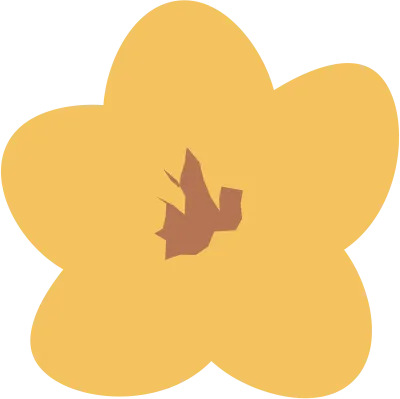 꽃