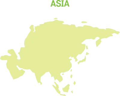 asia-컬러