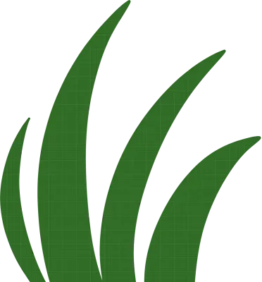 수풀