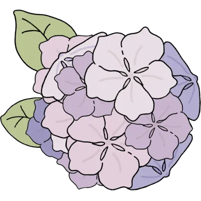 수국