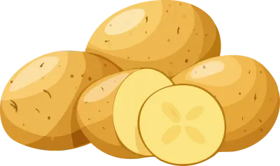 Raw organic Bintje potatoes and round slices icon, perfect for cooking and agricultural design