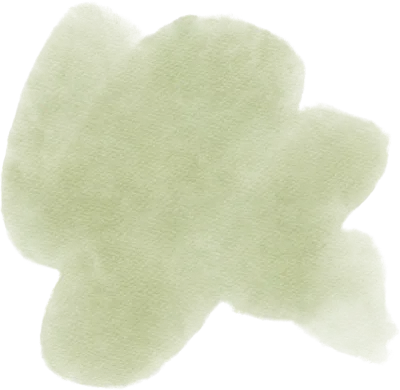 세이지 그린 수채화 텍스처 컬렉션 Sage Green Watercolor Texture Collection