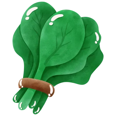 Spinach vegetables water color clipart green leaf bundle food illustration