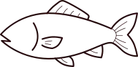 Fish Line Art Seafood Illustration 생선 라인아트 해산물 일러스트