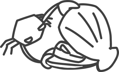Cute Crab and Clam line art