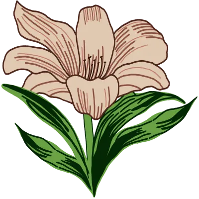 꽃 일러스트
