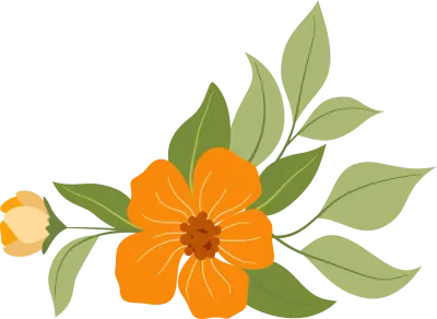 Botanical Flower Frame and Corner Collection
