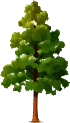 나무 일러스트