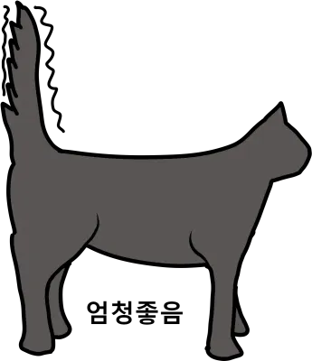 고양이 반응들